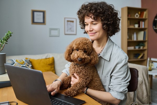 Woman with dog working online at home